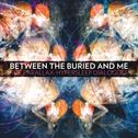 Between The Buried And Me - The Parallax II-The Future Sequence