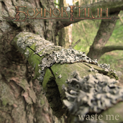   - Waste Me