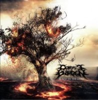 Corpse Garden - Burnt By The Light