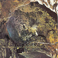 Deinonychus - After The Rain Falls An Empty Sky Remains