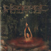 Disgorge (Mex) - Gore Blessed To The Worms