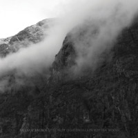 Falls Of Rauros - The Light That Dwells In Rotten Wood