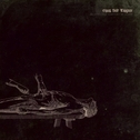 Gnaw Their Tongues - An Epiphanic Vomiting Of Blood