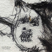 Grizzly Bear - Horn of Plenty 2 - The Remixes