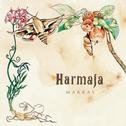 Harmaja - Marras