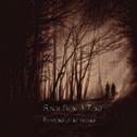 Songs From A Tomb - Dreams