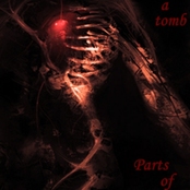 Songs From A Tomb - Parts Of Soul