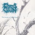 Thorns of the Carrion - The Gardens Of Dead Winter