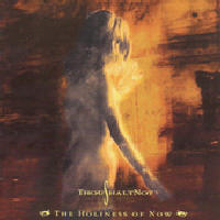 ThouShaltNot - The Holiness Of Now