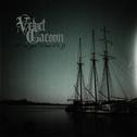 Velvet Cacoon - P Aa Opal Poere Pr. 33 (Bootleg)