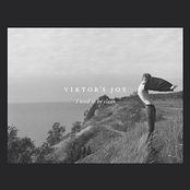 Viktor's Joy - I Used To Be Clean