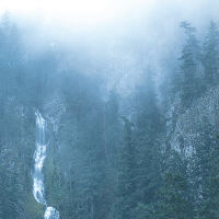 Wolves In The Throne Room - Diadem Of 12 Stars