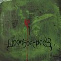 Woods Of Ypres - Woods 5 - Grey Skies And Electric Light